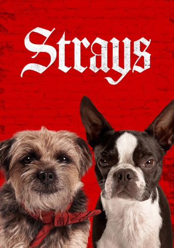 دانلود فیلم Strays 2023 دوبله فارسی