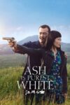 دانلود فیلم Ash Is Purest White 2018 دوبله فارسی