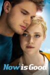 دانلود فیلم Now Is Good 2012 دوبله فارسی