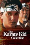 دانلود کالکشن کامل The Karate Kid دوبله فارسی